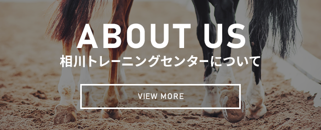 有限会社相川トレーニングセンターについて